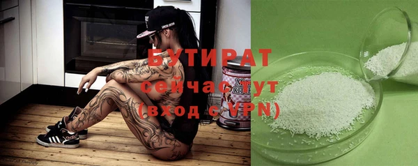 сатива Новодвинск