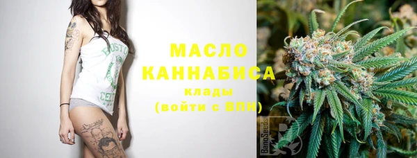 сатива Новодвинск