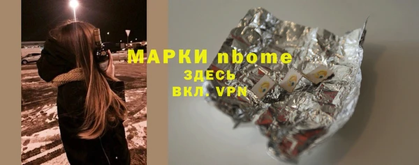 сатива Новодвинск