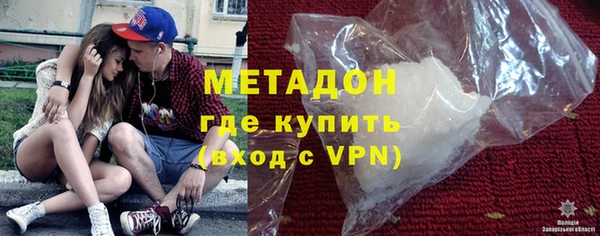сатива Новодвинск