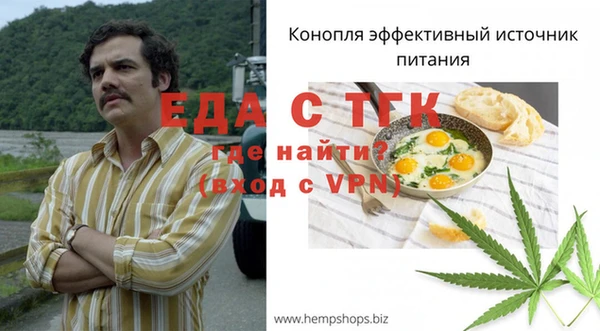 сатива Новодвинск