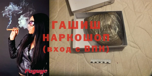 сатива Новодвинск