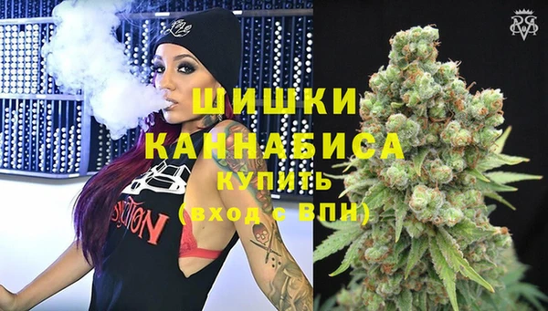 каннабис Новозыбков