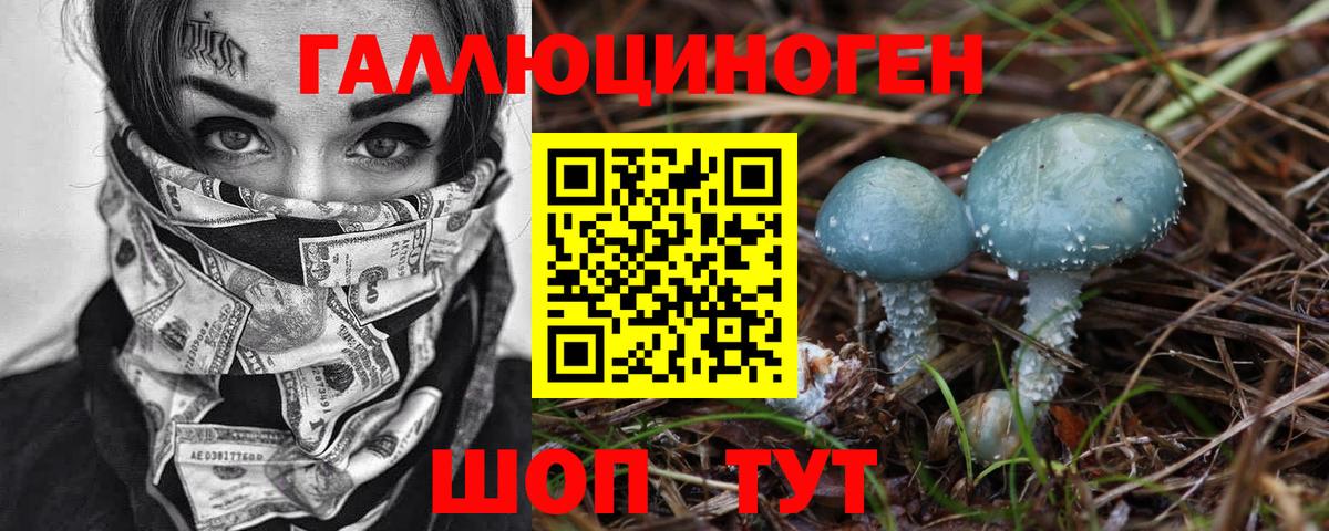 Галлюциногенные грибы Psilocybe Менделеевск
