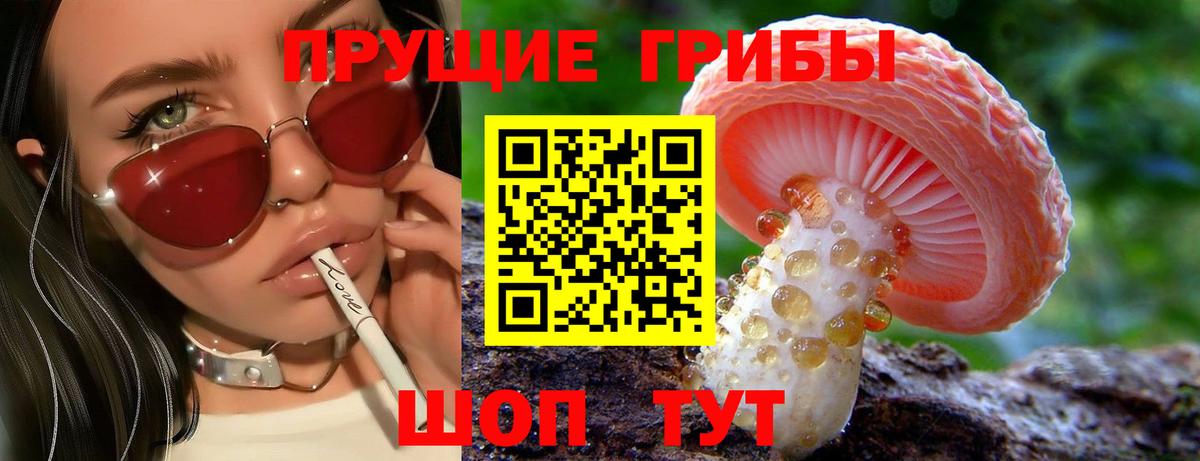 Псилоцибиновые грибы Psilocybine cubensis  Вход с VPN  Менделеевск 